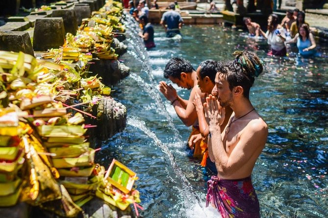 Bali Ubud and Volcano Day Tours - Satria Agrowisata: coffee, tea, and luwak coffee