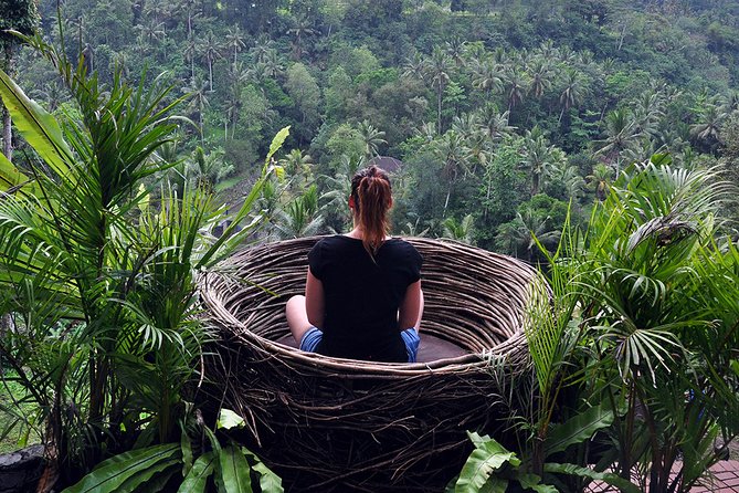 Bali Ubud and Volcano Day Tours - Ubud Traditional Art Market and local shopping