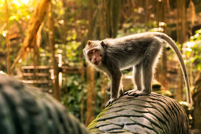 Bali Ubud and Volcano Day Tours - What the $51.29 price includes