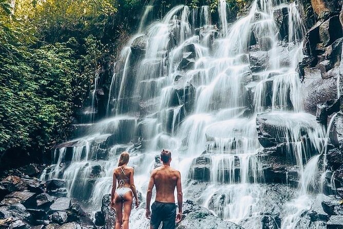 Bali: Ubud Highlights Tour with Private Guide and Transfers - Tegalalang Rice Terrace, Bali’s famous working scenery