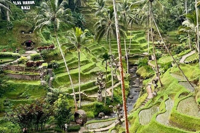 Bali Ubud Private Costomized Tour - Explore Bali your way - Sacred Monkey Forest: temples, trees, and cheeky macaques