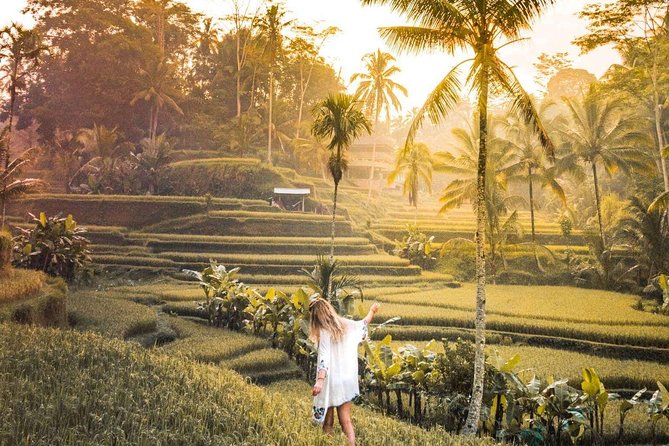 Bali Ubud private Tour with Ubud Bali Driver - FREE WIFI - Why a private Ubud day can work well