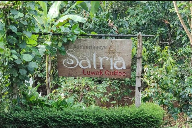 Bali Ubud private Tour with Ubud Bali Driver - FREE WIFI - Tegalalang Rice Terrace and the subak system