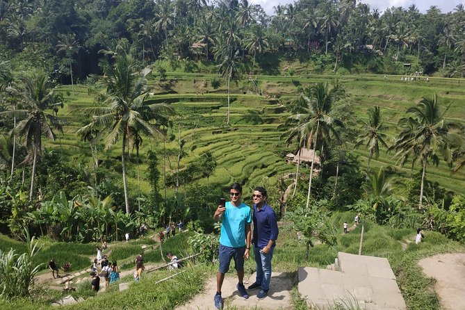 Bali Ubud Tour - What the $80 price really covers