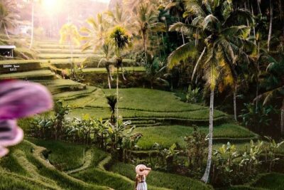Bali Ubud Tour: Monkey Forest, Waterfall & Rice Terrace