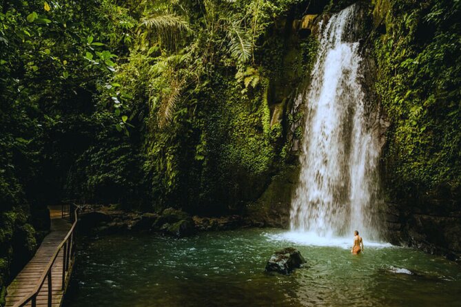 Bali Ubud Zipline Jungle Swing and Waterfall Tour - What this Ubud adventure actually includes