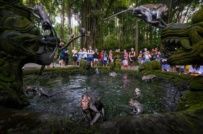 Bali Ubud Zipline, Monkey Forest and Waterfall Adventure - What the private format adds