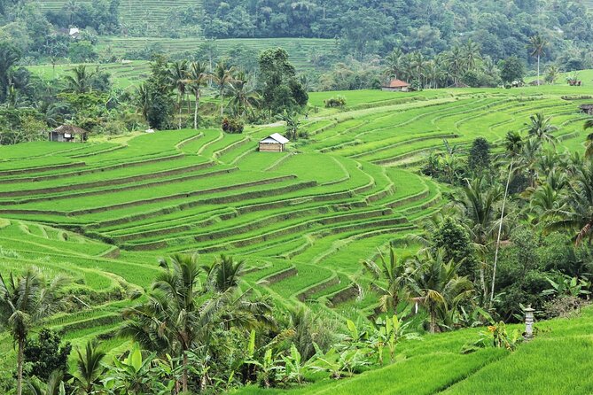Bali UNESCO Sites: Water Temples and Jatiluwih Rice Terrace Tour - Tanah Lot and the sunset finale