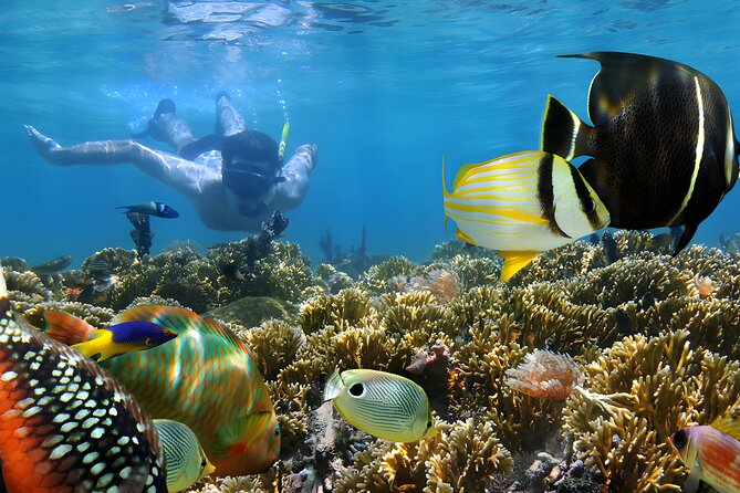 Bali Water Sport Jumbo Packages - The calmer activities and the glass-bottom boat