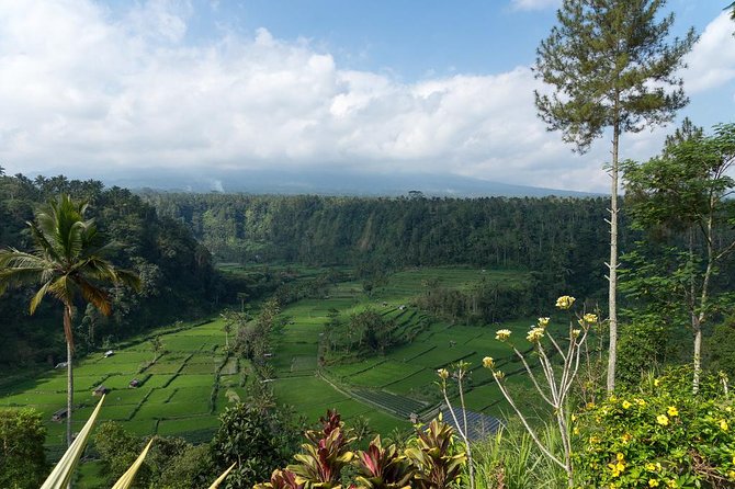 Bali Waterfalls and Temples Tour - Goa Raja Waterfall: Forest, steps, and a natural pool