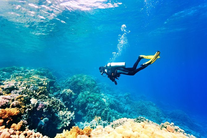 Bali Watersport Activities - Great Discount Package - Snorkeling and the slower side of the package