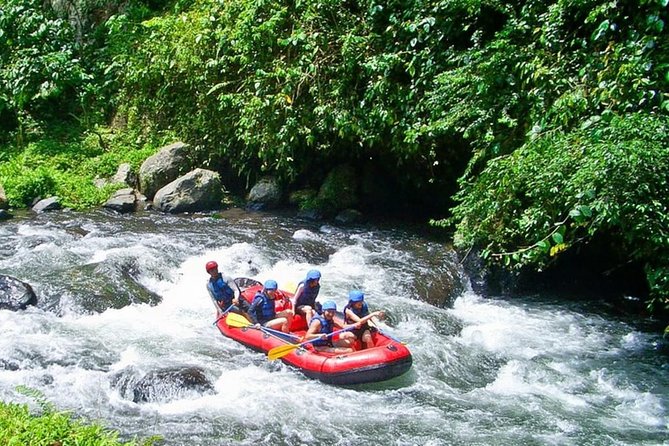 Bali White Water Rafting at Telaga Waja River - Is $39.39 a fair price?