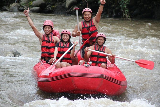 Bali White Water Rafting with No Steep Access - The steep walk to the river is not a minor detail