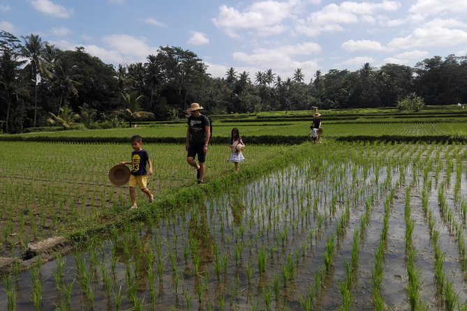 Balinese Cooking Class at Organic Farm - Fresh drinks before the cooking begins