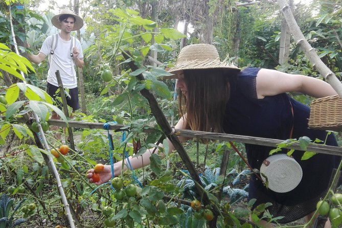 Balinese Cooking Class at Organic Farm - Is the $40 price good value?
