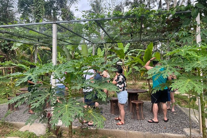 Balinese Cooking Class with Traditional Market Tour - The five-course lunch you prepare yourself