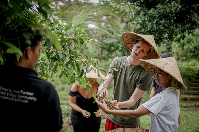 Balinese Farm Cooking Class by Pemulan Bali - The 7:30 AM market visit
