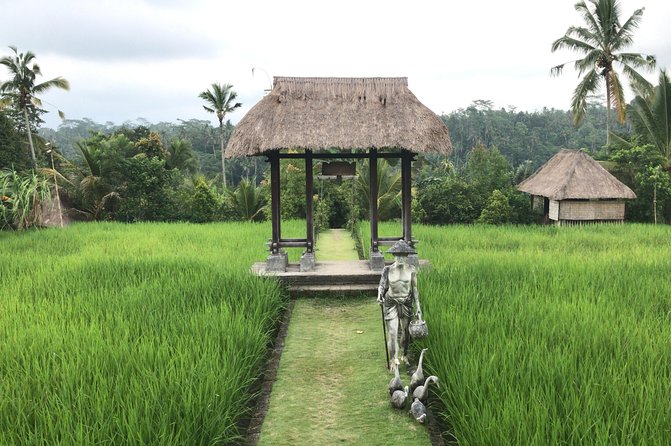 Balinese Life Style Tour - The 8:30 a.m. start and the private-car advantage