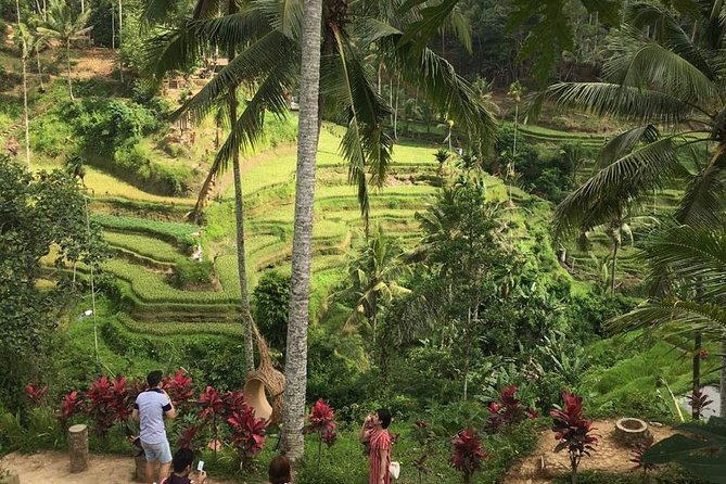 Balinese Life Style Tour - Who will get the most from this Bali tour