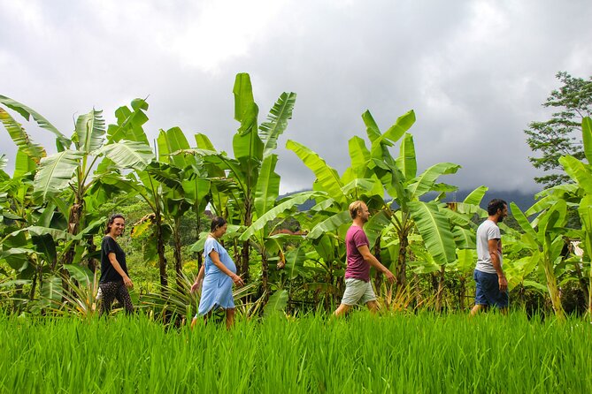 Balinese Vegan Cooking Class with Fresh Harvesting & Garden Tour - Ancient Utensils and Balinese Cooking Methods