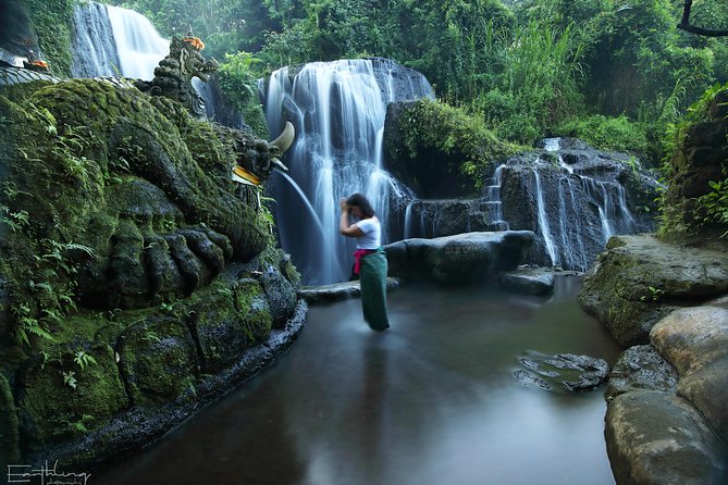 Balinese Village Experience - The Holy Water Temple And Cleansing Ritual