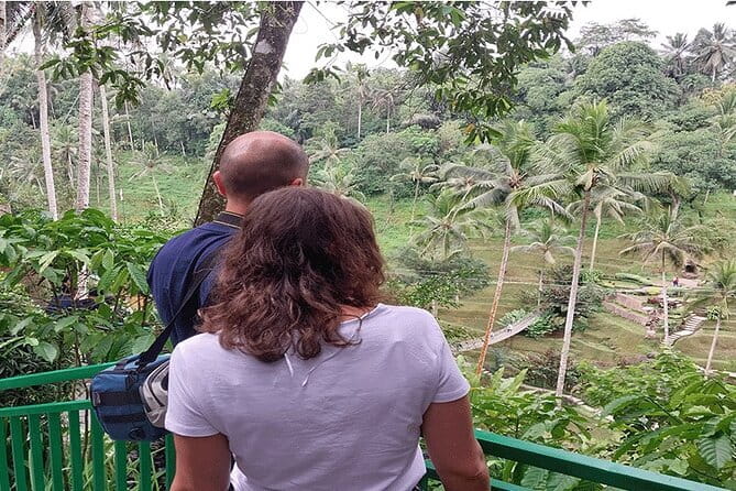 Banyumala Waterfall, Jatiluwih, Ulun Danu and Tanah Lot tours - Ulun Danu Bratan: a temple beside volcanic waters