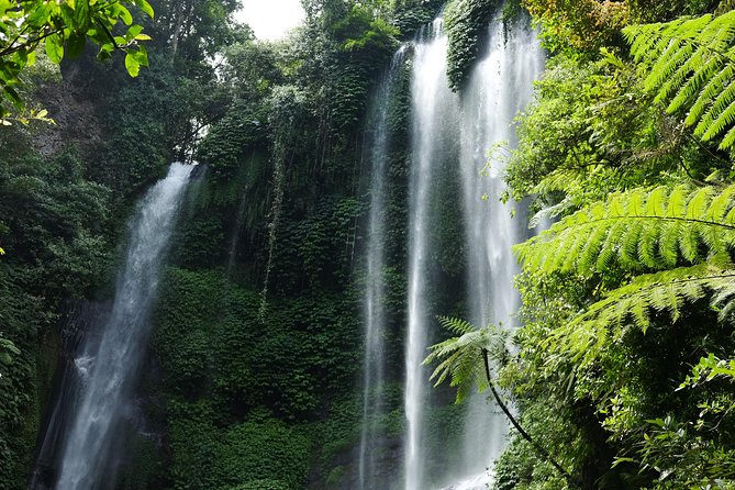 Banyuwana & Banyumala Waterfalls Tour Private - All-Inclusive - Why North Bali Is Worth Your Time