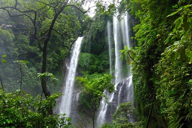 Banyuwana & Banyumala Waterfalls Tour Private - All-Inclusive - Mount Batur and the Rice Terraces Add Variety