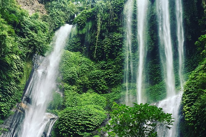 Banyuwana & Banyumala Waterfalls Tour Private - All-Inclusive - Who Should Book This Waterfall Tour?