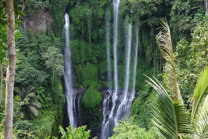 Banyuwana & Banyumala Waterfalls Tour Private - All-Inclusive - Banyumala Twin Waterfalls Begins With a Forest Walk