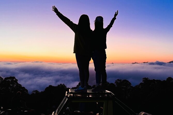 Batur 4WD Jeep Sunrise and Kintamani Cafe Hopping - Agro Santi Coffee Plantation and traditional processing