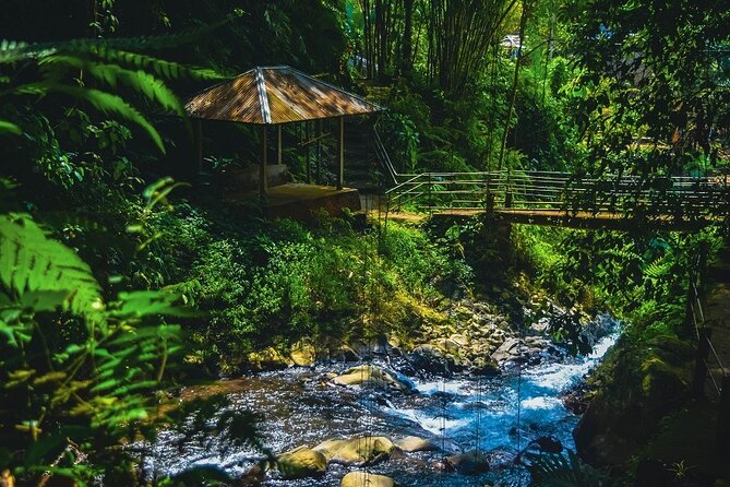 Bedugul and Singaraja Tour - Singaraja, Bali’s former capital