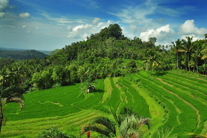 Besakih Temple Tour - Mother Temple in Bali - The private format and the pace of the day