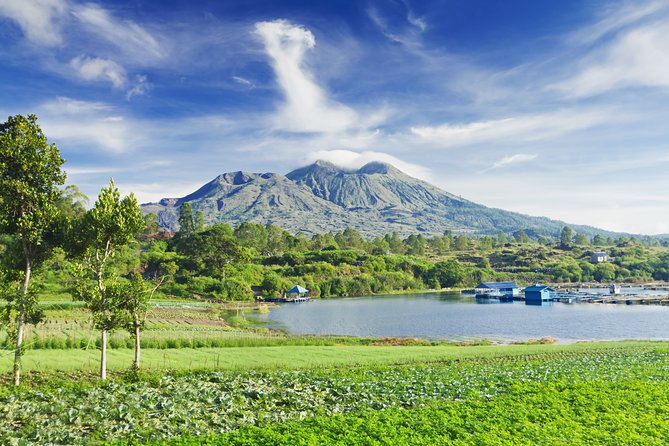 Besakih Temple Tour: the Biggest Temple in Bali - Tegalalang ends the day with rice-field scenery