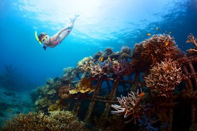 Best Bali Snorkeling at Blue Lagoon Beach: All-Inclusive