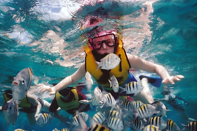 Best Bali Snorkeling at Blue Lagoon Beach: All-Inclusive - Private transport is a major advantage from Seminyak