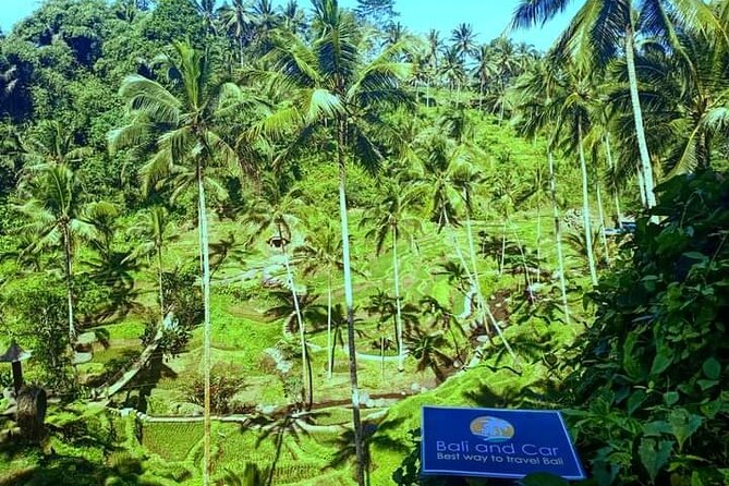 Best bali transport service - custom your own itinerary - The vehicle, group size, and comfort