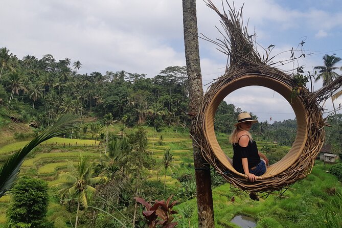 Best Bali Ubud Full Day All-Inclusive Private Tour - Monkey Forest brings nature and crowds together