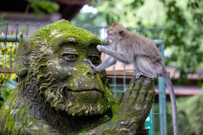 Best of Bali 3-Day Packaged Tour - What this three-day Bali tour is really designed to do