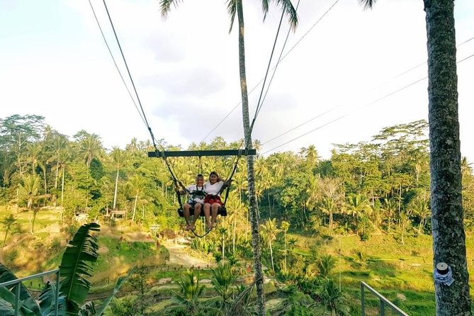 Best of Bali Jungle Swing with Ubud Sightseeing Tour - Ubud Traditional Art Market in 30 minutes