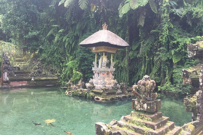Best of Bali Private Shore Excursions - What this $60 Bali shore outing actually gives you
