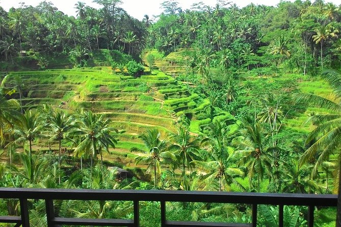 Best of Bali : Ubud, Rice terrace, Tanah lot temple with Lunch - Coffee, chocolate, and plants at Uma Pakel