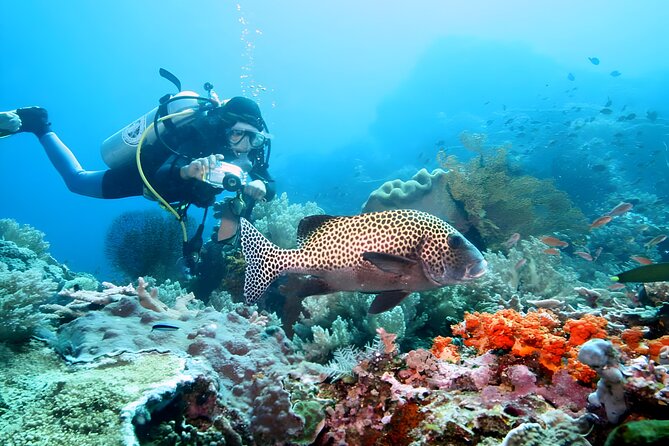 Best of Bali Water Sport Jumbo Packages - Who will enjoy this experience most?