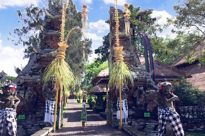 Best of Bali Water Temple and UNISCO Rice Terrace Trek - What the private vehicle changes