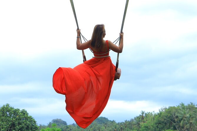Best of Instagram Tour: Gate of Heaven, Tirta Gangga, Bali Swing - The value of $100 per person
