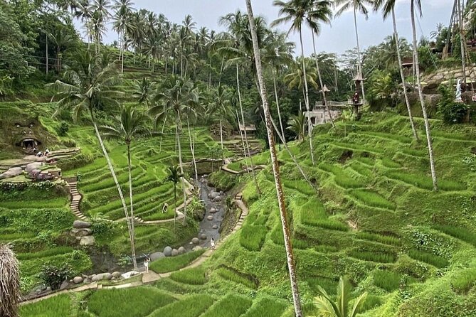 Best of Instagram Tour: Gate of Heaven, Tirta Gangga, Bali Swing - Timing, pickup, and the long road day