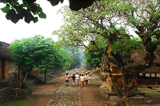 Best of The Gate of Heaven and East Bali Tour - Tenganan Village and Bali Aga traditions