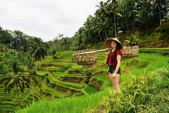 Best of Ubud 1-Day Private Tour - Why a private car makes Ubud easier