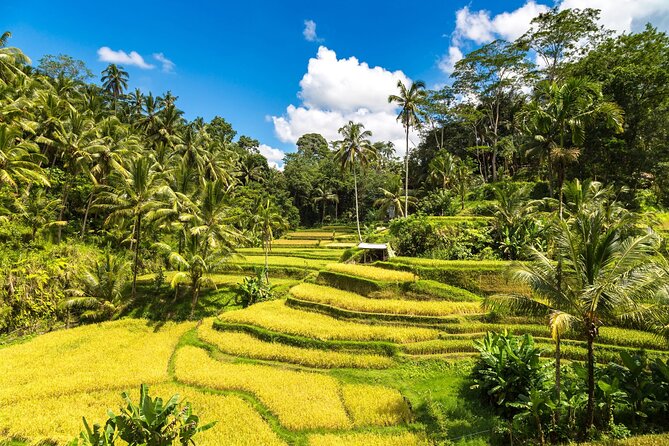 Best of Ubud 1-Day Private Tour - Batuan Temple, carvings and daily Hindu life