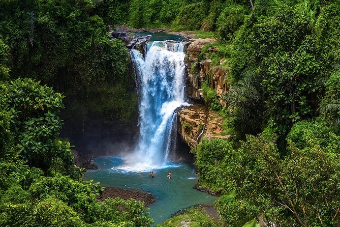 Best of Ubud - All Inclusive - One long day, six very different Ubud stops